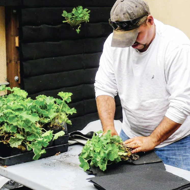 Florafelt 8-Pocket Living Wall System — Florafelt Living Wall Systems